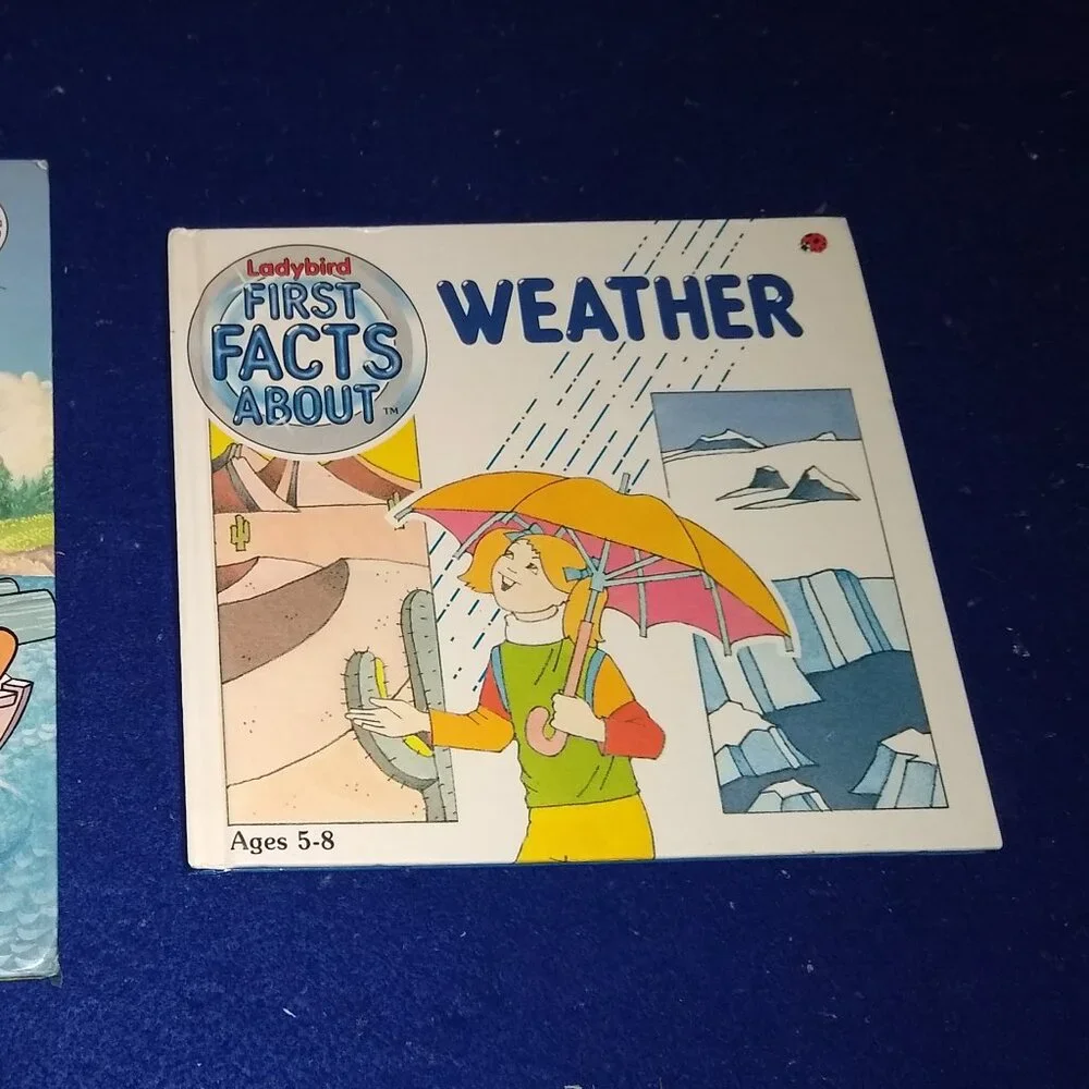 Mickey Mouse and his Boat Walt Disney 1988 + Weather 1990 Vintage